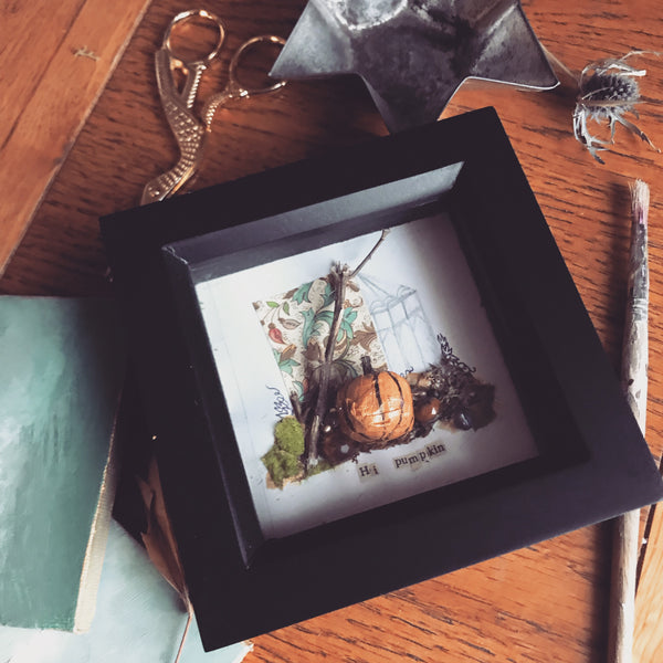 ‘Hi pumpkin’ shadow Box