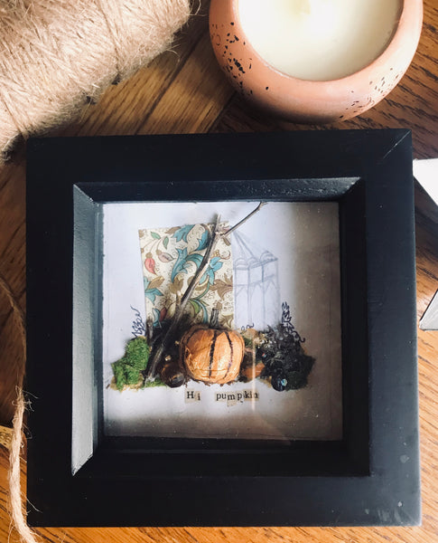 ‘Hi pumpkin’ shadow Box