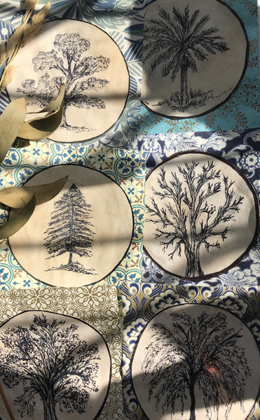 Tree illustration six