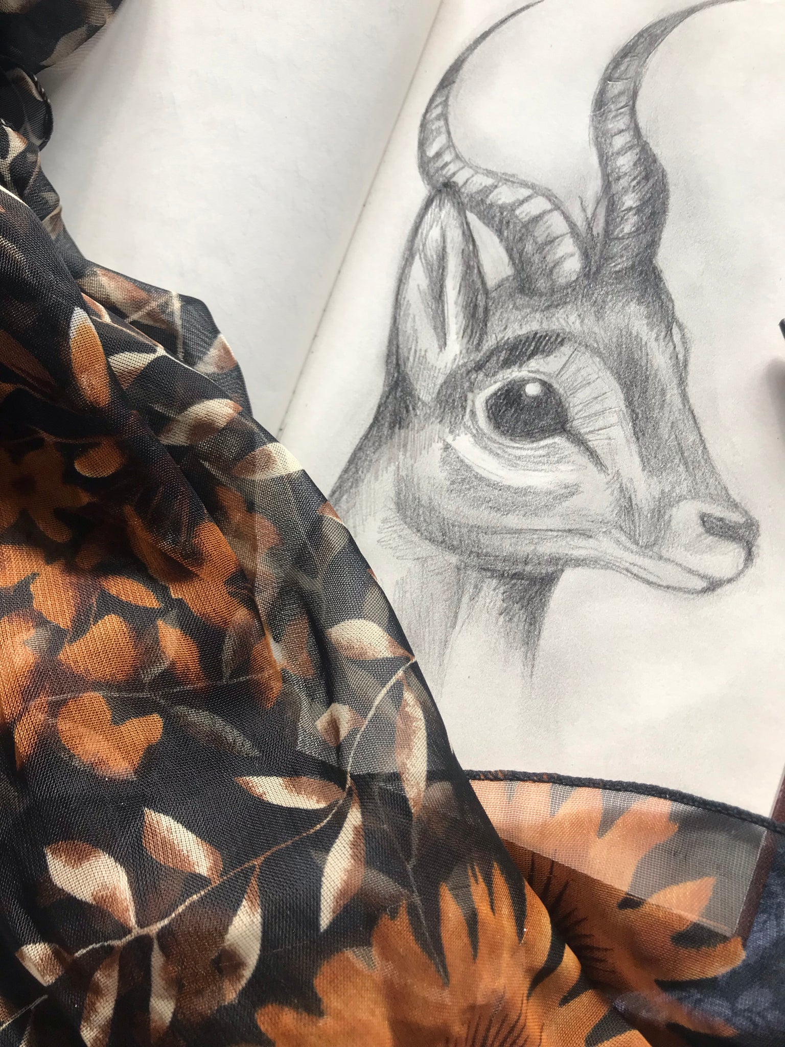 Antelope