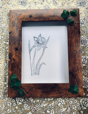 March birth flower illustration - Daffodil