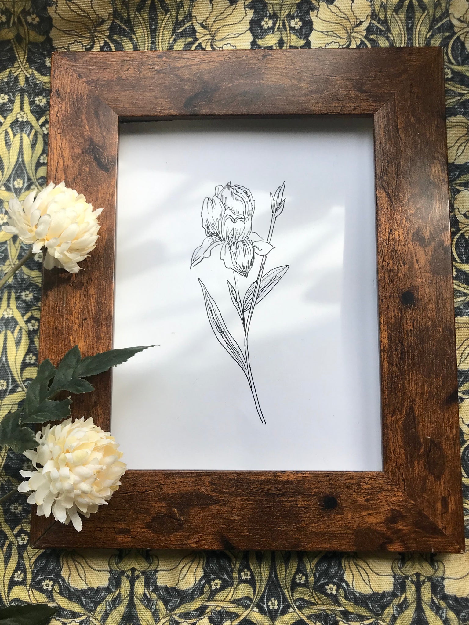 February birth flower illustration - Iris